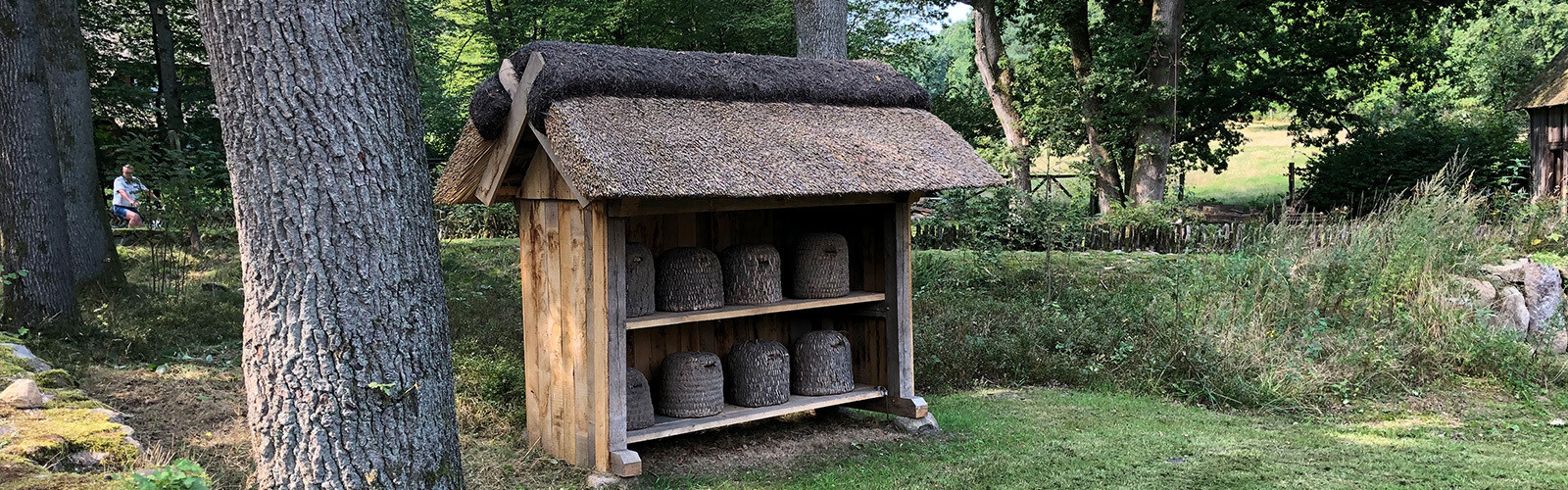 Regionalgruppe Lüneburger Heide (ehemals Celle)