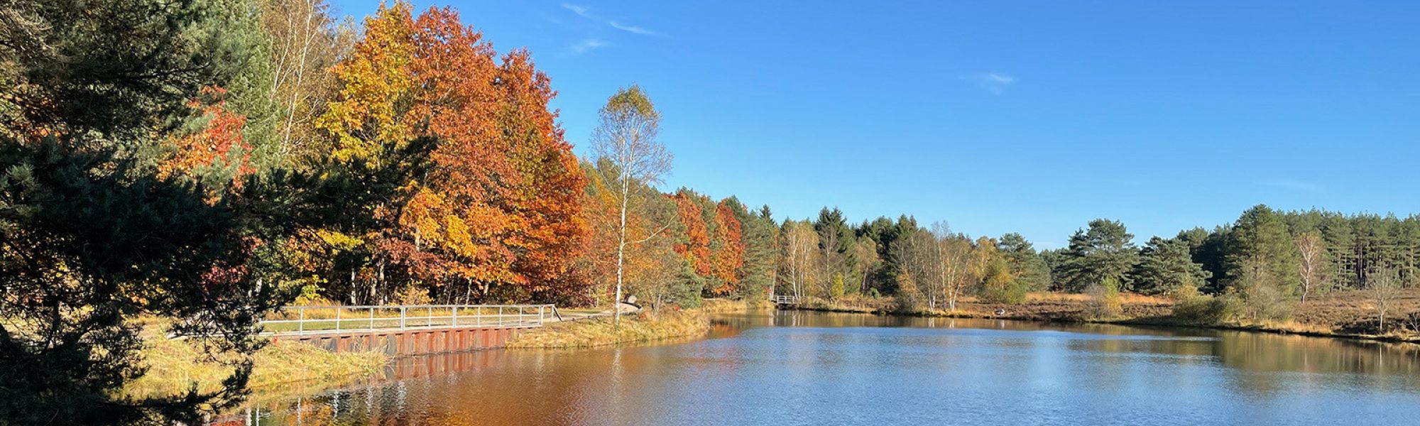 Regionalgruppe Lüneburger Heide (ehemals Celle)