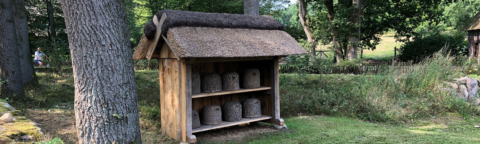 Regionalgruppe Lüneburger Heide (ehemals Celle)